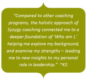 The Syzygy Executive Coaching Process: