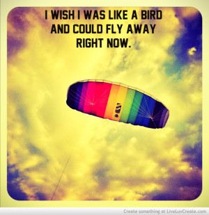 like_a_bird-394766.jpg?i