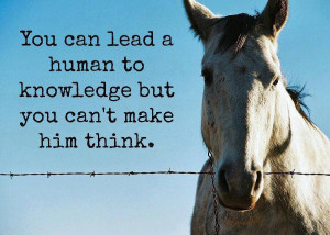 you can lead a human to knowledge