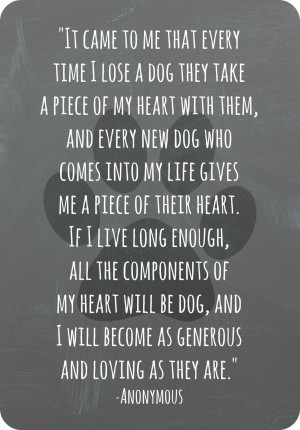 Can I imagine a new puppy right now? No.