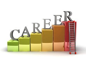 Climbing the Social Work Career Ladder Christy Rakoczy