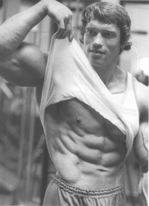Top 10 Arnold Schwarzenegger Quotes