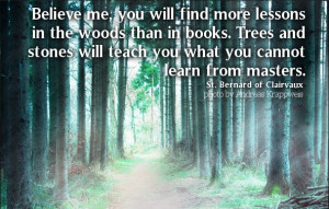 Believe me, you will find more lessons in the woods than in books ...