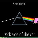 for your boyfriend cute quotes about love for your boyfriend romantic ...