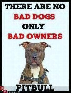 ... for life!... unconscionable to blame the pit bull for mans corruption