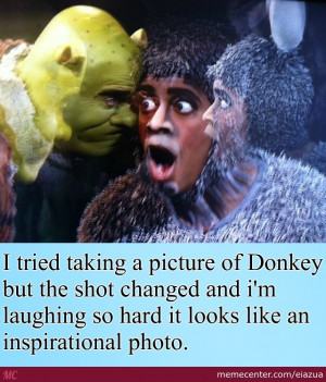 Donkey From Shrek Meme