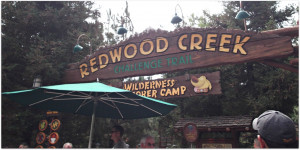 Become a Senior Wilderness Explorer at Disney’s California Adventure ...