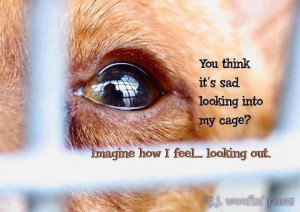 url=http://www.imagesbuddy.com/you-think-its-sad-looking-into-my-cage ...
