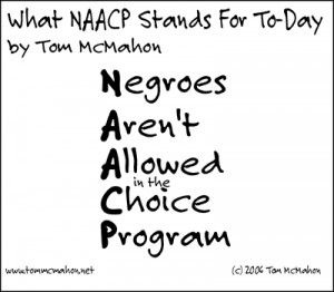 naacp quotes