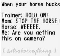 Horse sayings.