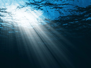 Photo: Sunlight streaming through water