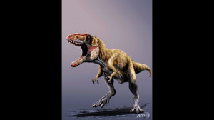Second carcharodontosaur found in North America Siats meekerorum