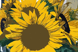 GUIDE TO NORTHEASTERN GARDENING