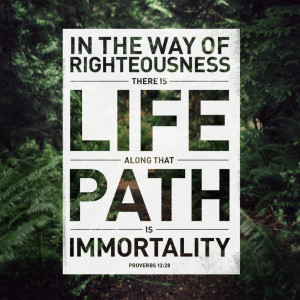 In the way of righteousness there is life along that path is ...