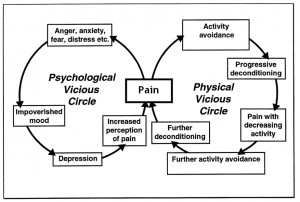 Chronic Pain Cycle
