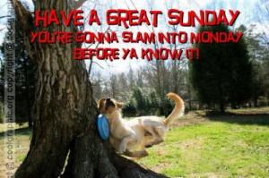Have A Great Sunday – Funny Sunday Graphic For Funny Orkut Friends