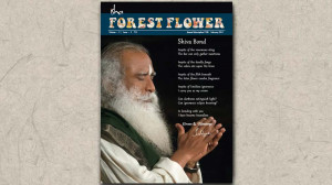 Forest Flower – February 2014 (English Magazine)