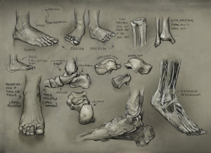 Drawing Class Human Anatomy