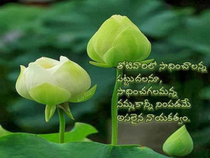 inspirational quotes in telugu language