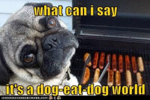 It's a dog world ---Dog-eat-dog World