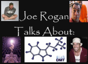 Joe Rogan talks about DMT