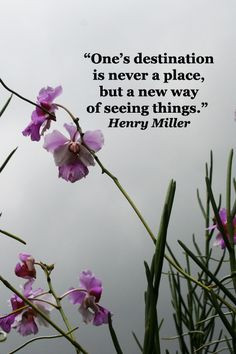 ... ORCHID GARDEN taken by Florence McGinn -- Explore quotes on the grace