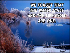 To save a photo to your PC, left-click on thumbnail (above).