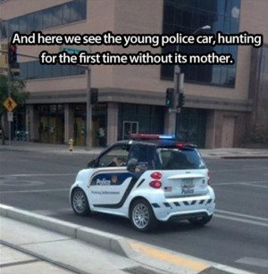 funny-police-car