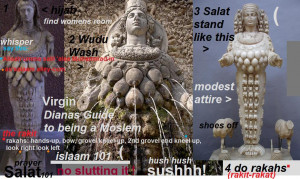 diana s amazing guide to being a moslem aks muslim in urdu click ...