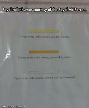 Very Subtle Royal Air Force Funny Pictures And Quotes