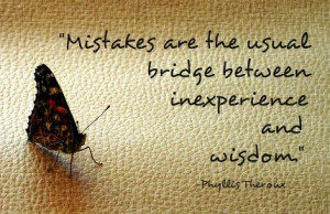 ... are the usual bridge between inexperience and wisdom.-Phyllis Theroux