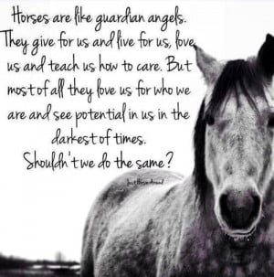... We Heart It #angel #guardian #horse #live #love #quote #quotes #teach