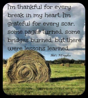 am thankful for.....lessons learned. Through it all, God was with me ...