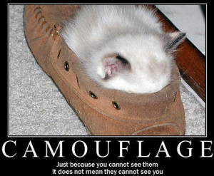 Home My Books Friends Recommendations Explore