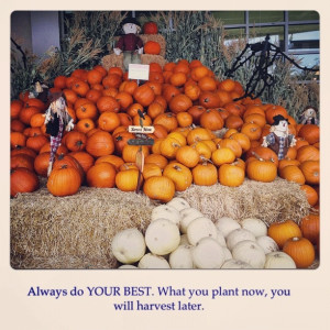 Harvest quote!!!