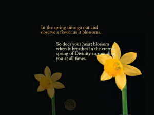 30+ Mind Grooming Motivational Quotes