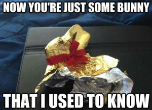Easter 2015 Funny Bunny Meme, Egg Jokes Download