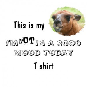 angry_llama_bad_mood_humorous_funny_t_shirt-p235967773546300091ah7vm ...