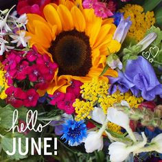 ... holiday quotes 12 month quotes fras hello june june 2014 hello month