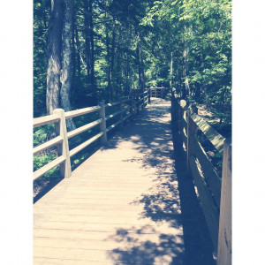 ... quote #quotes #nature #film #like4like #sfs #followme #follow4follow #