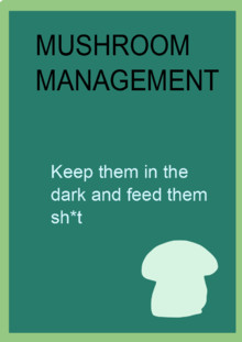 Mushroom management.png
