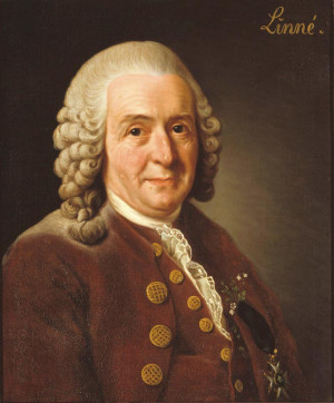 Birth of Carolus Linnaeus, Swedish Botanist & Zoologist