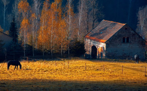 Image: Farm in Autumn wallpapers and stock photos