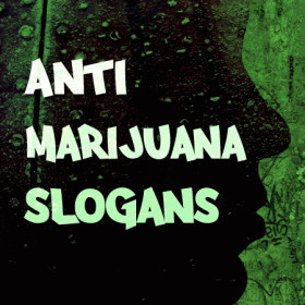 Drug Free Slogans
