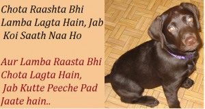 funny sayings life hindi for facebook