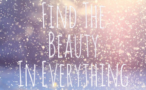 Find The Beauty In Everything