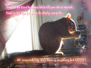 Perhaps a little squirrel will come into your life and teach you the ...