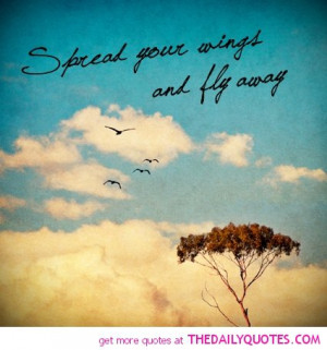 daily-inspirational-quotes-spread-your-wings-quote-picture-pics.jpg