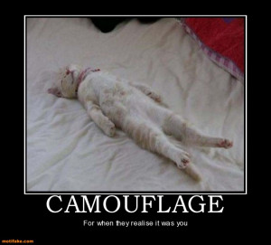 CAMOUFLAGE - For when they realise it was you