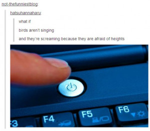 Late Night Tumblr Posts Really Are The Best